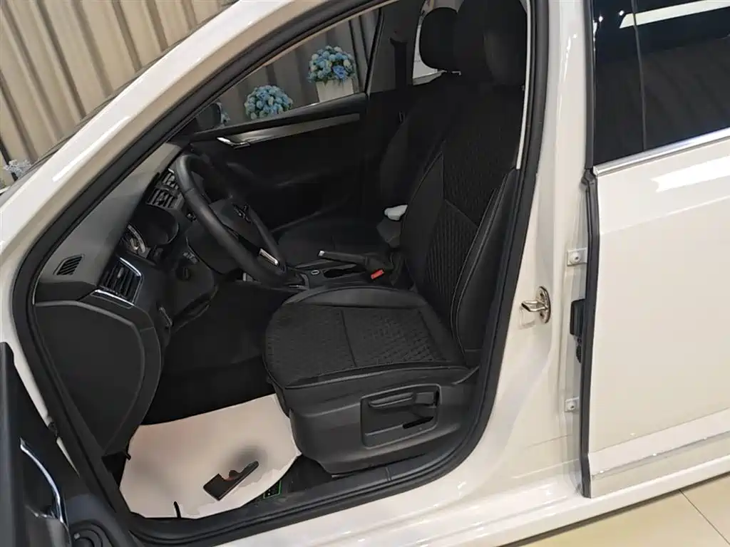Škoda Octavia 2019 TSI280 DSG Luxury Edition фото 11