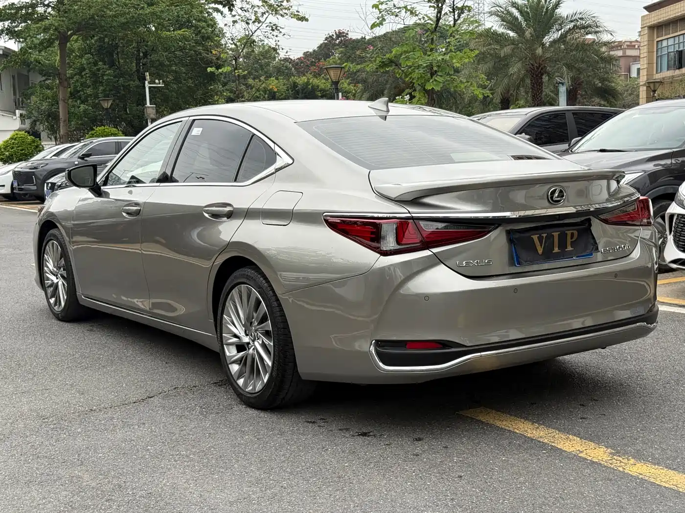 Lexus ES 2022 300h Executive Edition фото 9