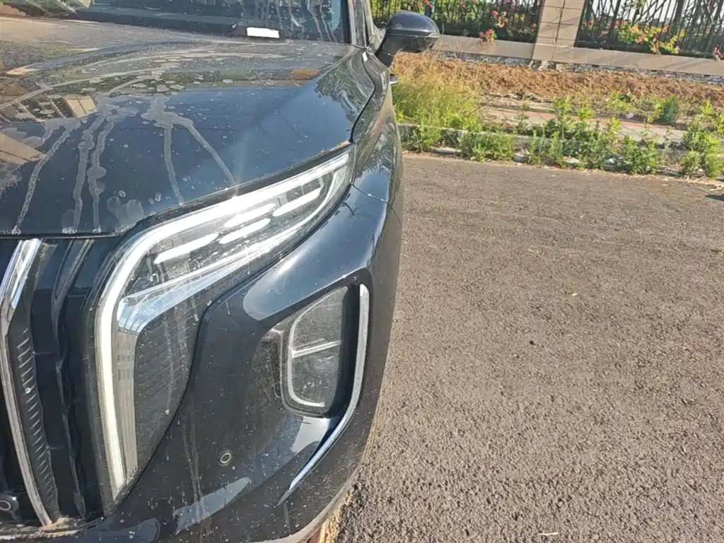 Hongqi HS7 PHEV 2024 2.0T PHEV AWD Qichang Edition 7-seater фото 24