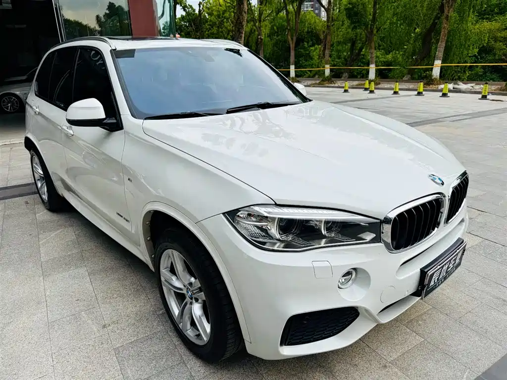 BMW X5 (Import) 2017 xDrive35i M Sport фото 6