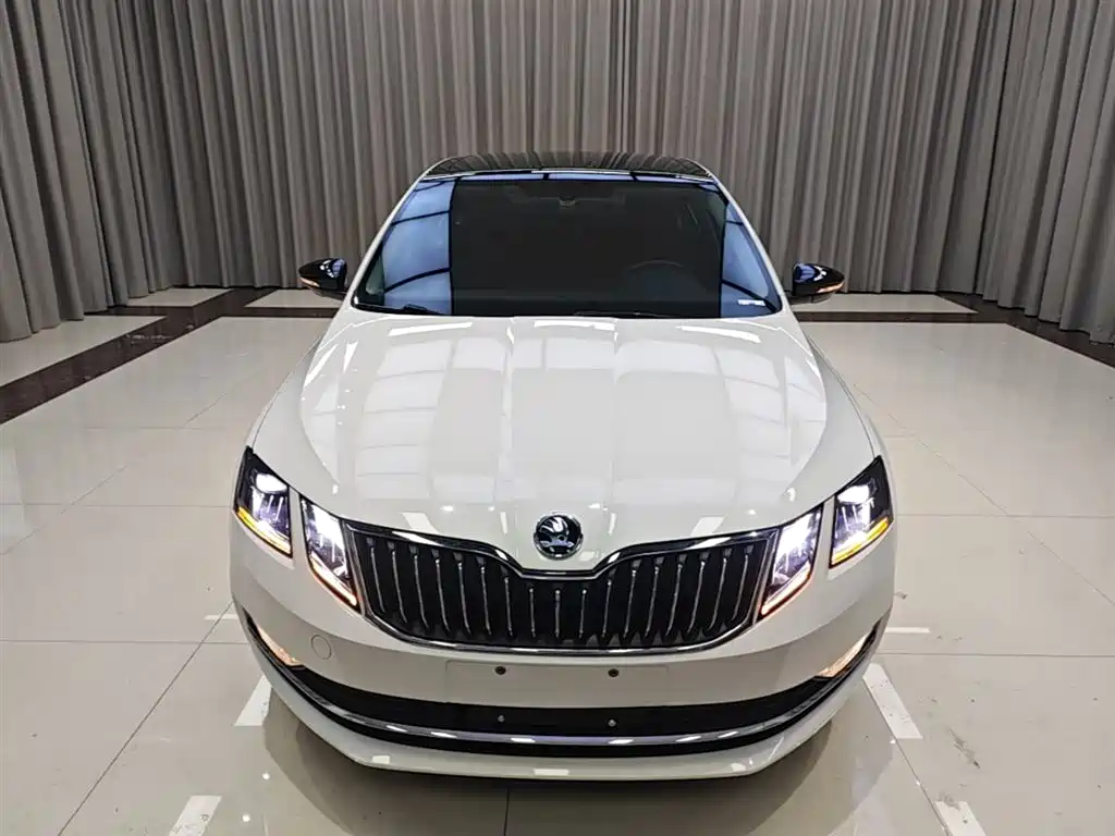 Škoda Octavia 2019 TSI280 DSG Luxury Edition фото 3