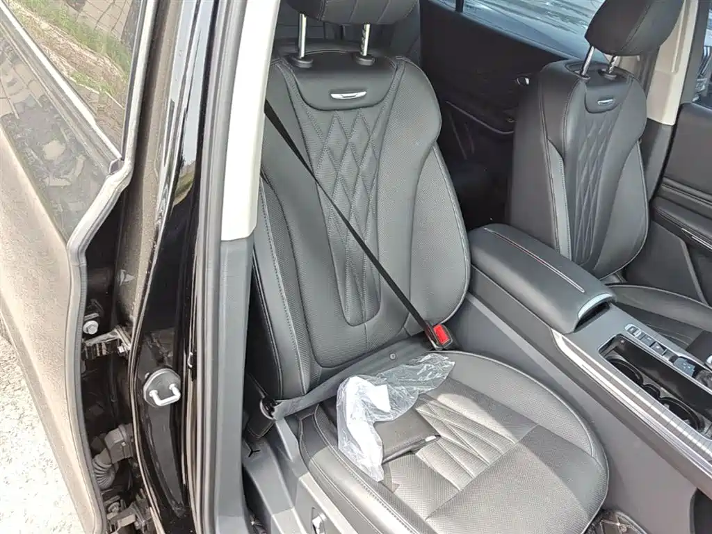 Hongqi HS7 PHEV 2024 2.0T PHEV AWD Qichang Edition 7-seater фото 25