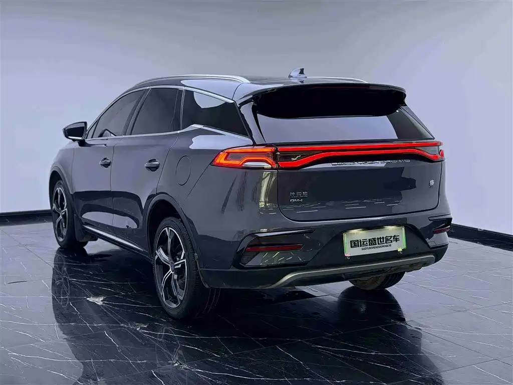 BYD Tang New Energy 2021 DM-i 112KM Honor фото 6