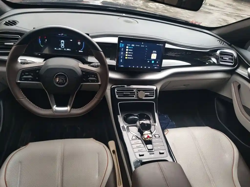 BYD Qin PLUS 2023 Champion Edition DM-i 120KM Leading Type фото 13