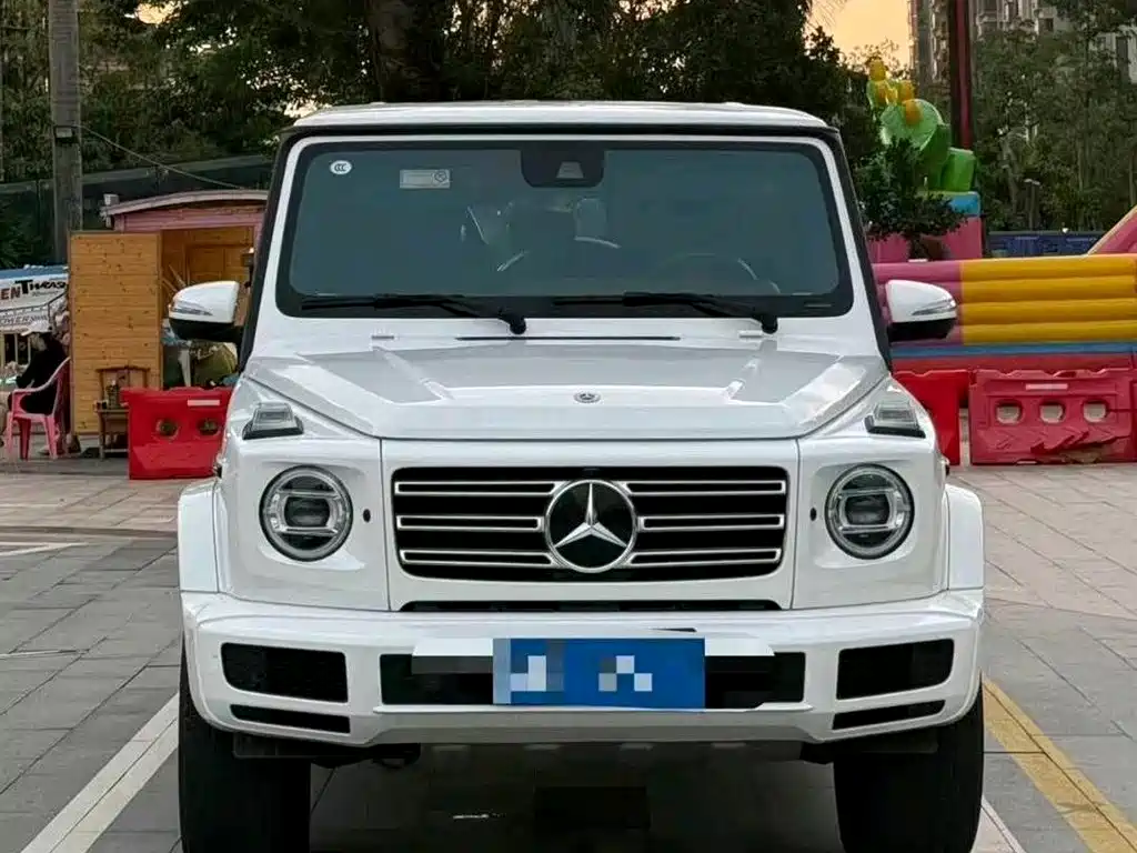 Mercedes-Benz G-Class 2020 G 500 фото 2