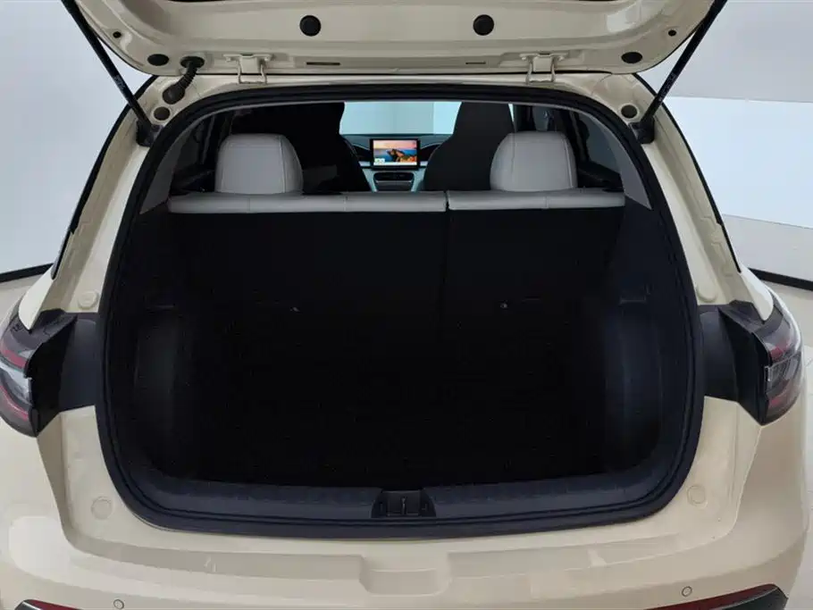 Geely Galaxy Starry Wish 2025 310km Youth Edition фото 4