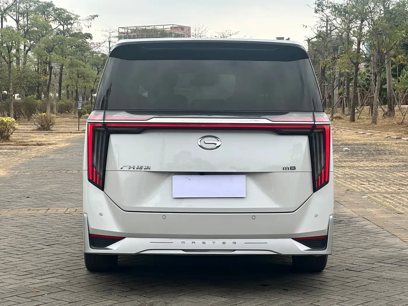 GAC Trumpchi Trumpchi M8 2023 Model Master Series 400T Ultimate Edition фото 18
