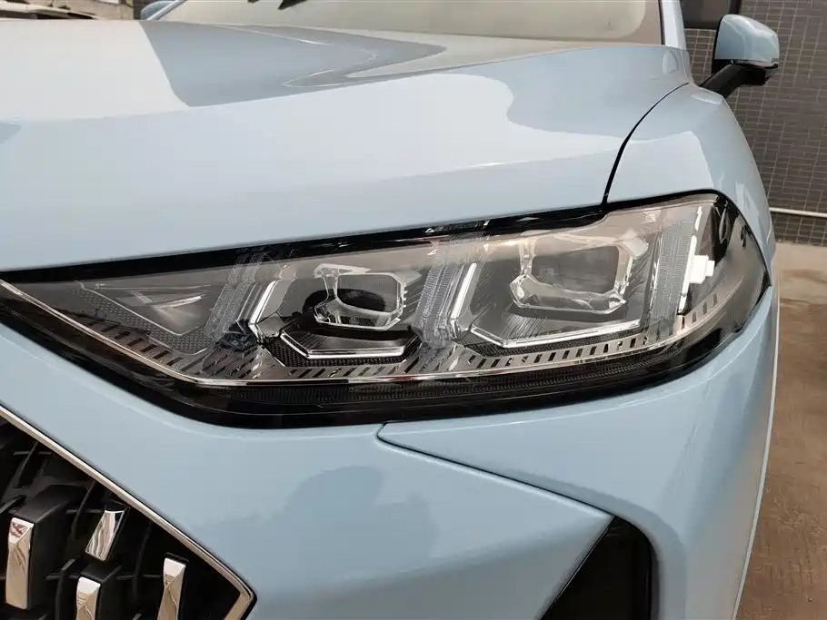 WEI PAI WEI BRAND MOCHA