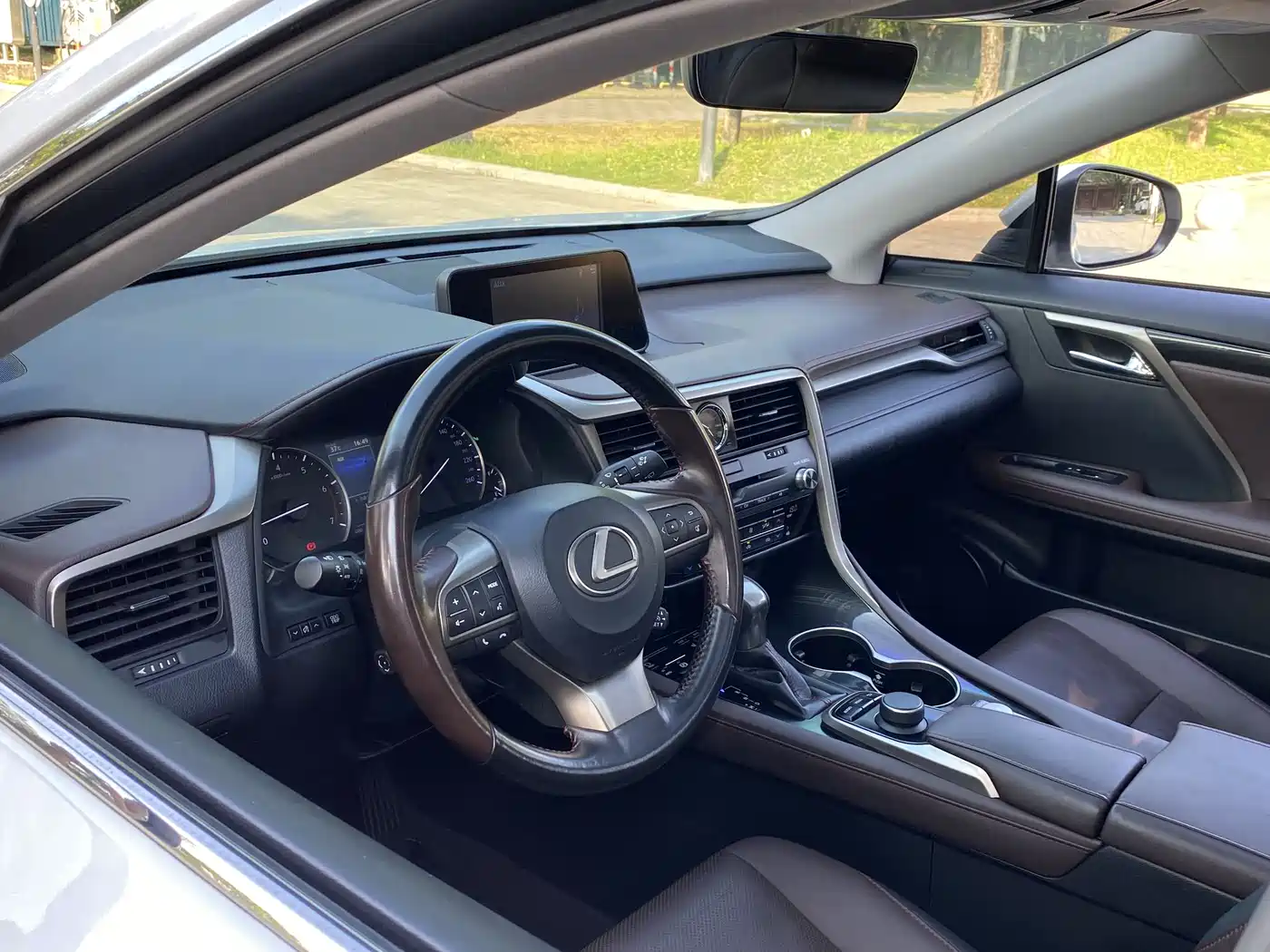Lexus RX 2016 300 4WD Elegance Edition (China V) фото 11