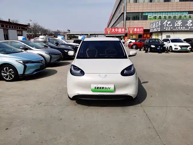 WULING WULING BINGGUO