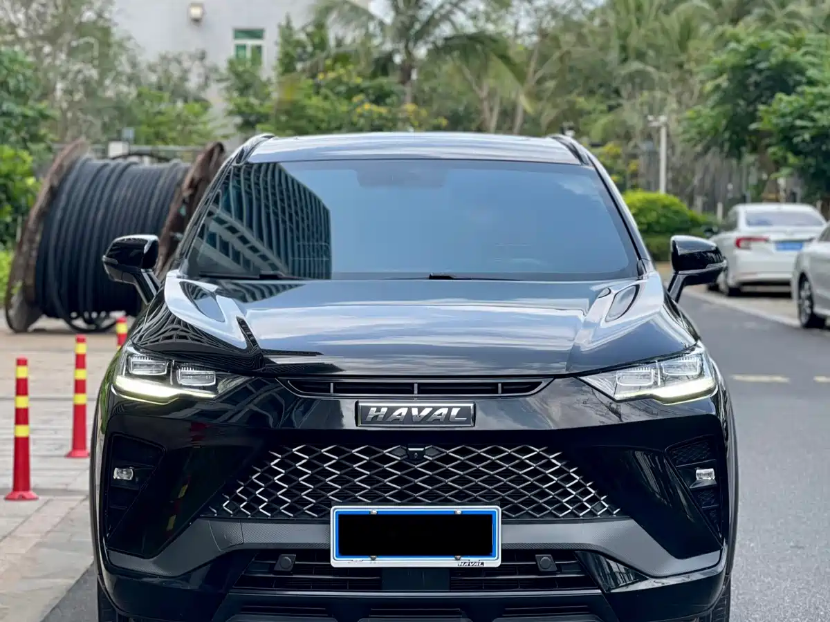 HAVAL H6S
