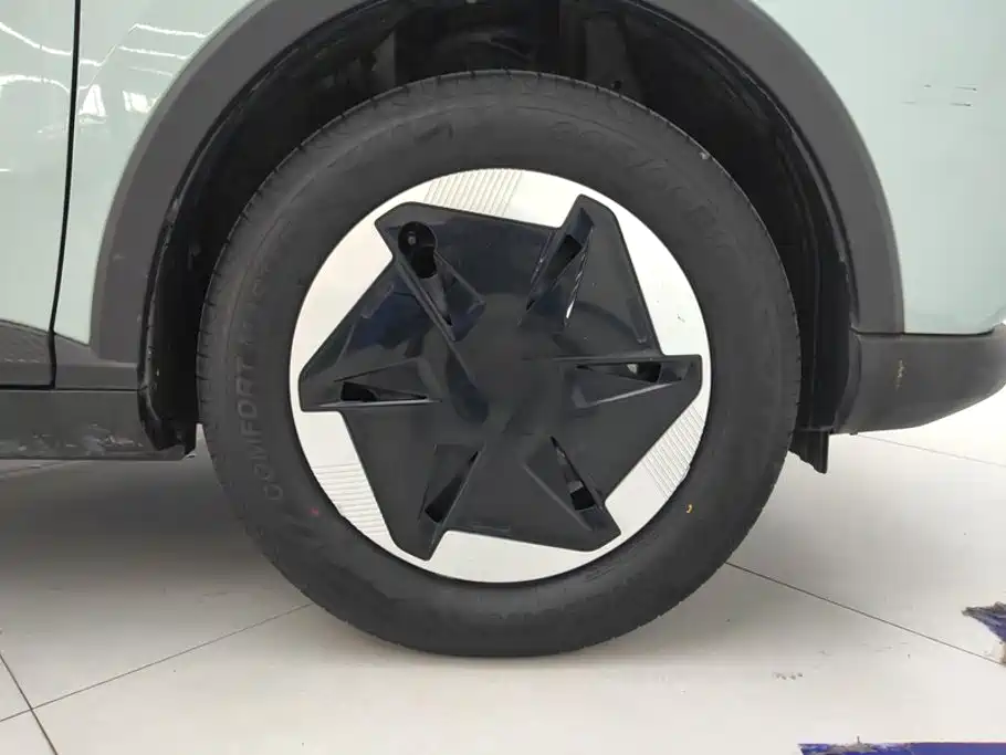 Geely Geometry E Firefly 2024 2024 Model 301km Starlight