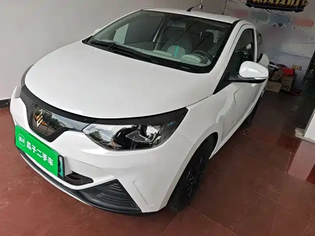  JMCG New Energy Little Kirin 2024 201km Comfort Model