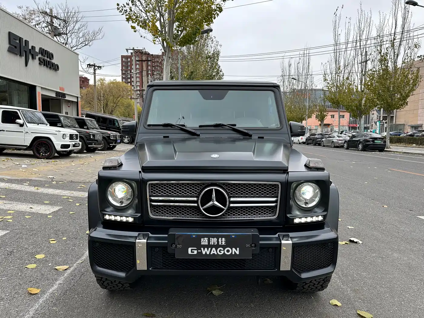 Mercedes-Benz G-Class AMG 2013 AMG G 65 фото 6