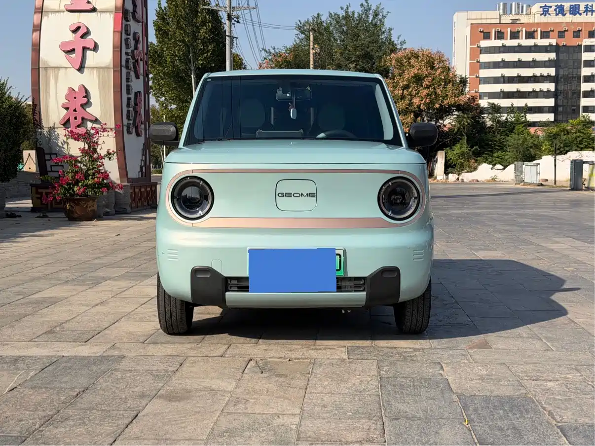 Geely Galaxy Panda 2023 2023 Panda Mini 200km Endurance Bear