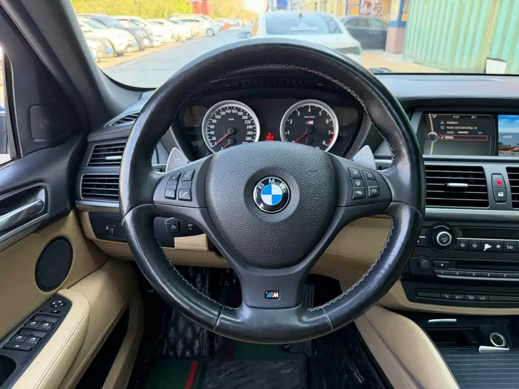 BMW X6 M 2010 2010 X6 M