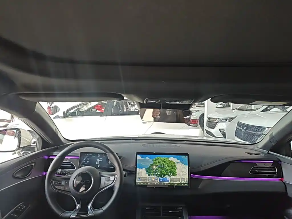 BYD Seal 06 New Energy 2025 2025 DM-i Smart Drive Edition 120KM Prestige