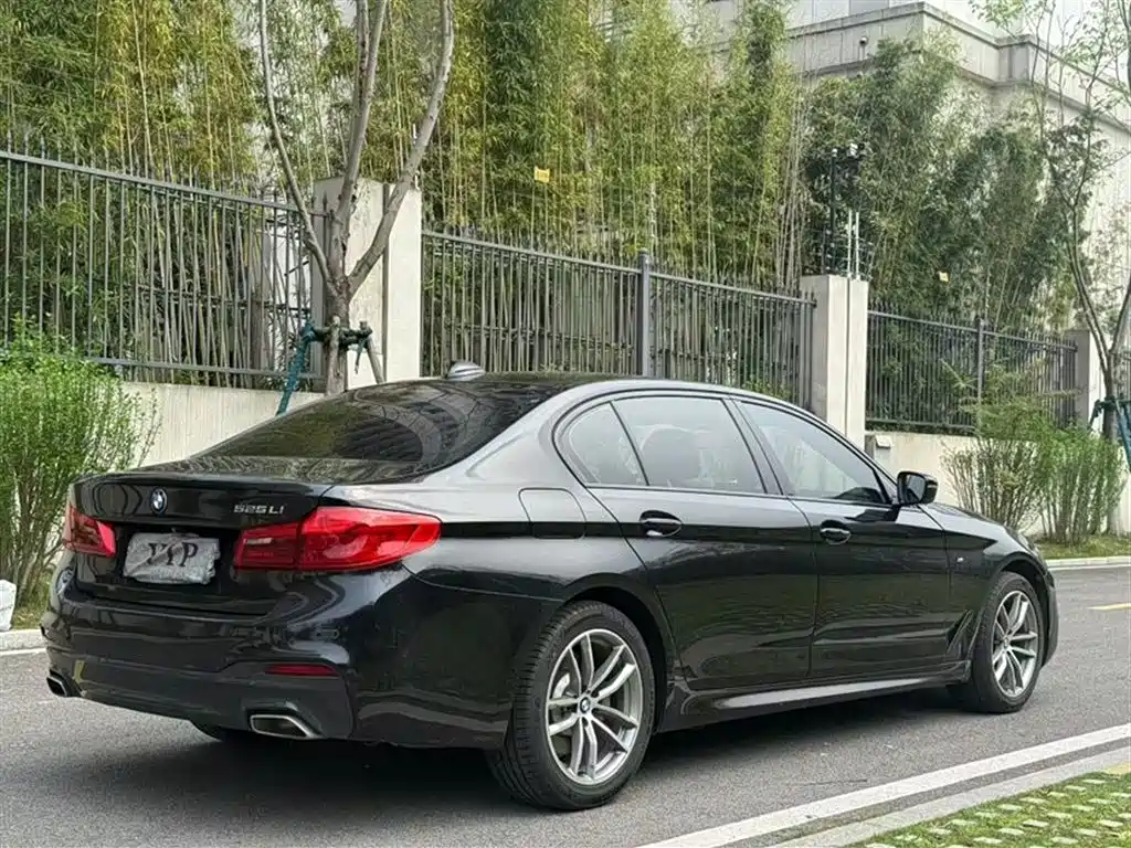 BMW 5 Series 2019 525Li M Sport Package фото 7
