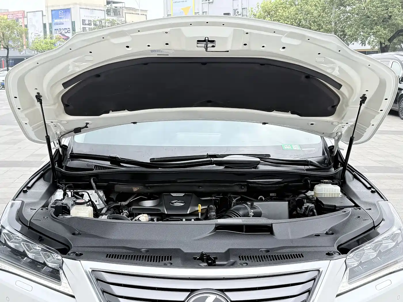 Lexus RX 2016 300 4WD Elegance Edition (China V) фото 16