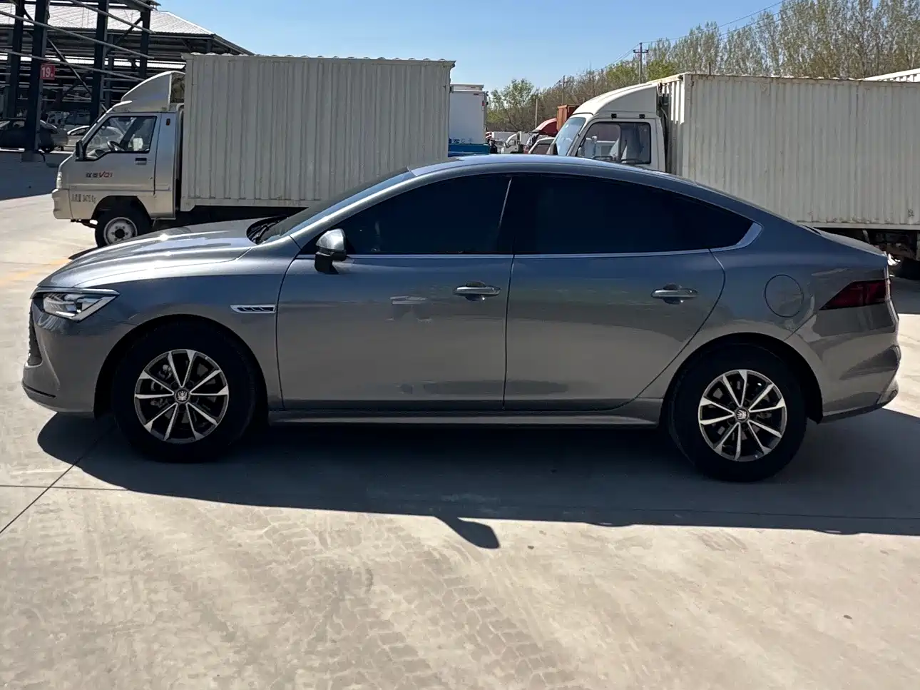 BYD Qin PLUS 2024 Glory Edition DM-i 55KM Leading фото 3