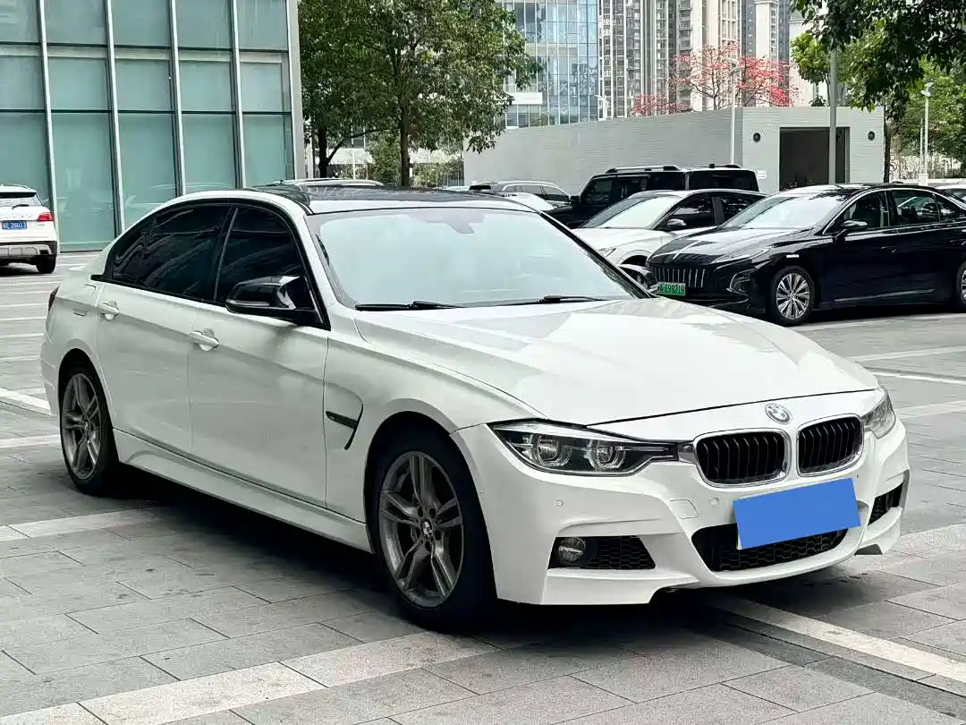 BMW 3 Series 2019 320Li M Sport Black Night Edition фото 3