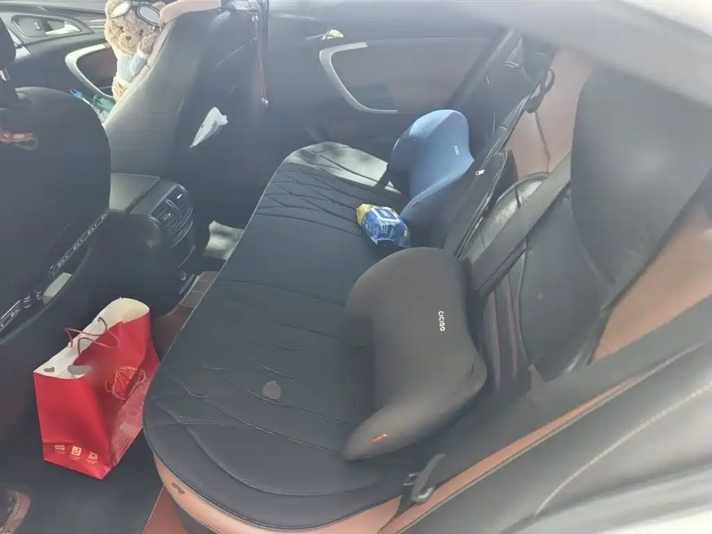 Buick Regal 2014 GS 2.0T Passion Sport Edition фото 14