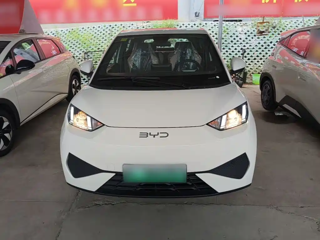BYD Seagull 2026 2025 Smart Drive Edition 305km Vitality Version