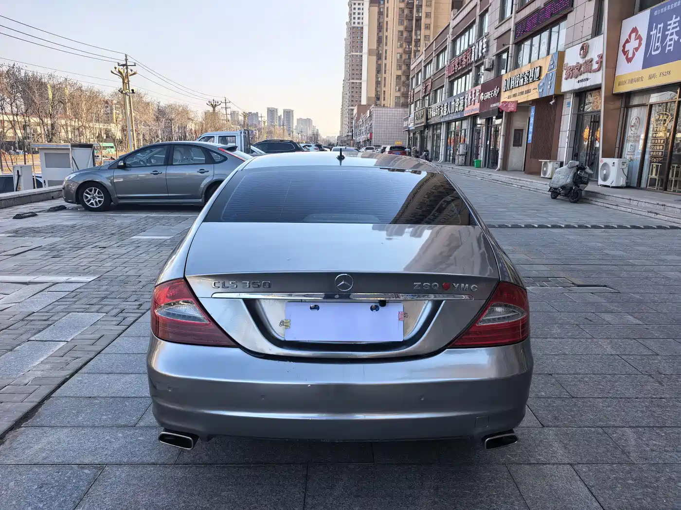 Mercedes-Benz CLS 2009 CLS 300 фото 8