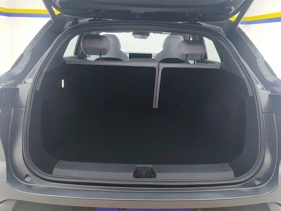 ARCFOX EXTREME FOX POLAR FOX ALPHA T5