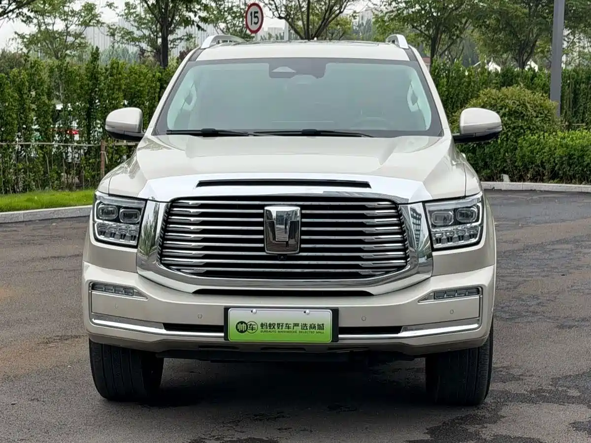 Tank 500 EV 2024 Hi4-T фото 2