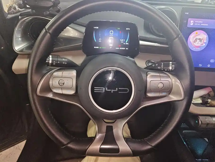 BYD Dolphin 2023 420km Fashion Edition фото 15