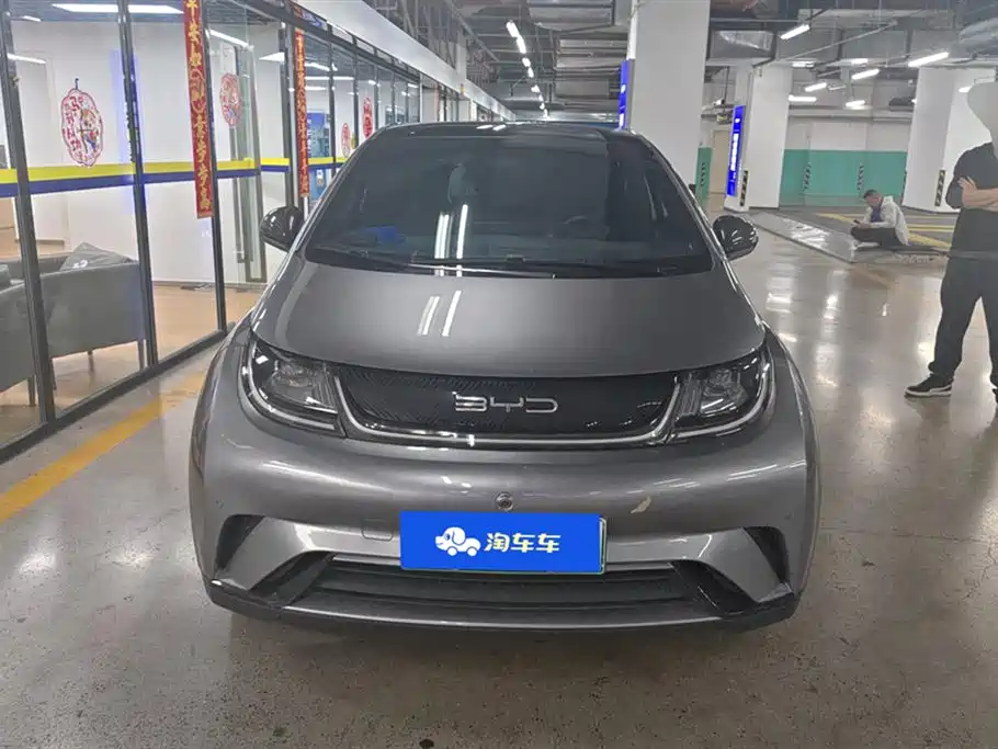 BYD Dolphin 2023 420km Fashion Edition фото 2