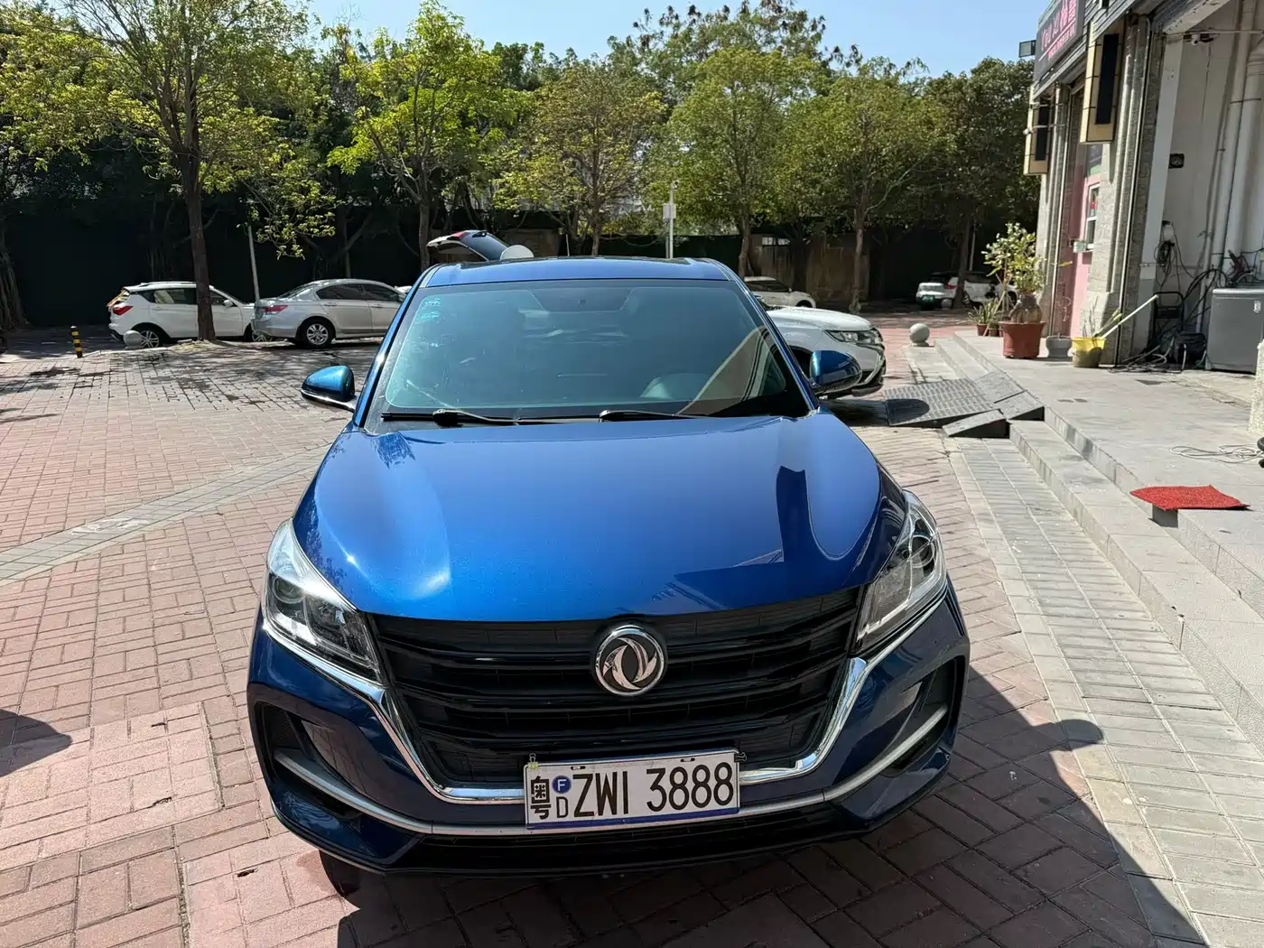 DONGFENG SCENERY 500
