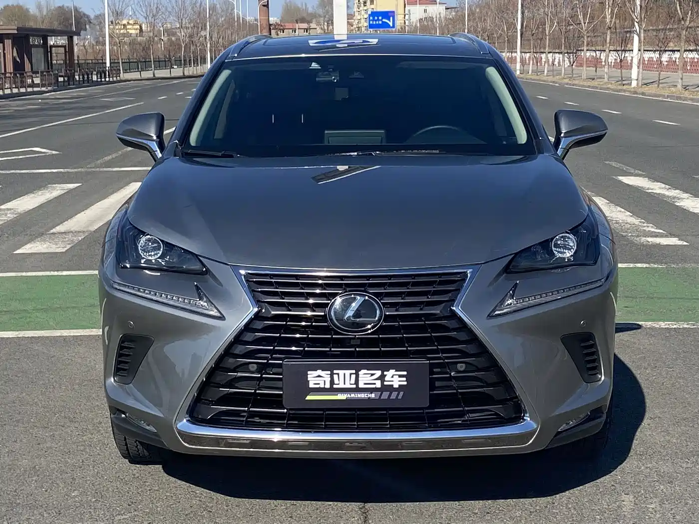 LEXUS NX