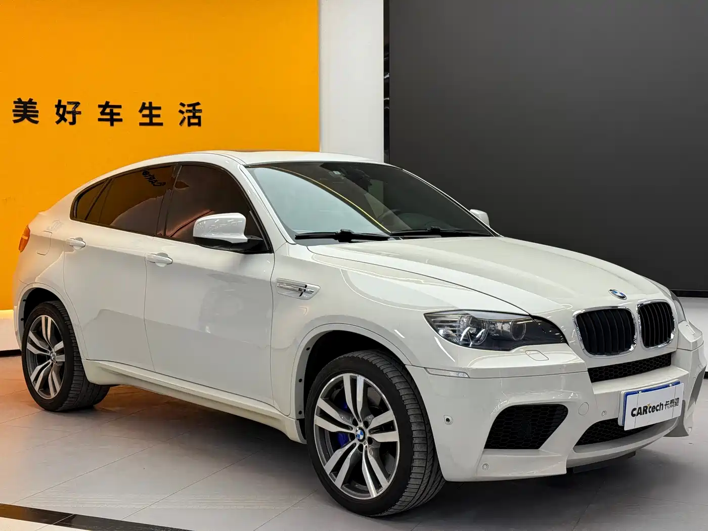 BMW X6 M 2013 X6 M фото 2