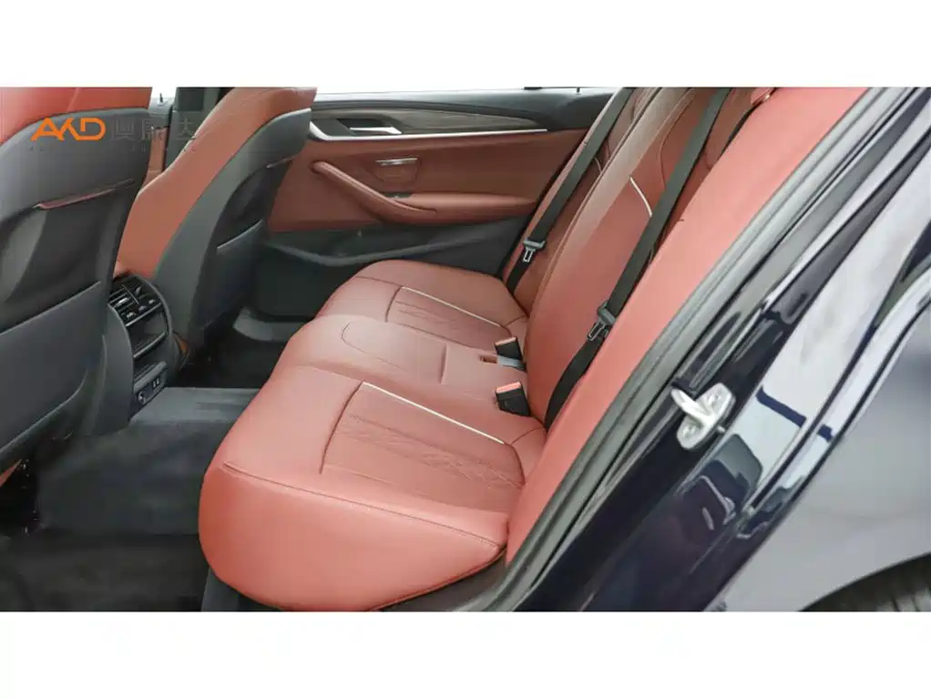 BMW 5 Series 2022 Facelift 530Li Leading Luxury Package фото 7