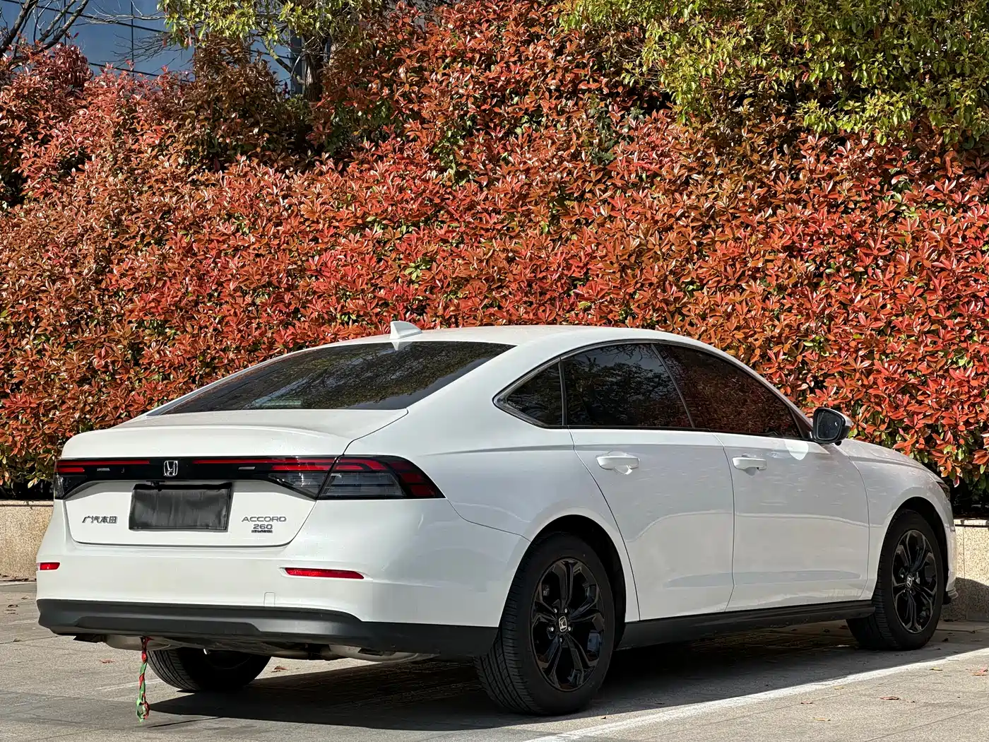 Honda Accord 2025 2025 260TURBO Luxury Edition