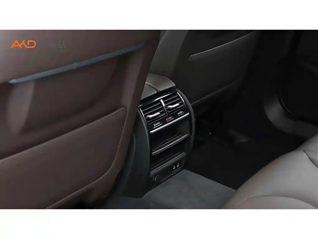 BMW 5 Series 2020 530Li xDrive Luxury Package фото 9