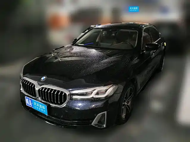 BMW 5 Series 2022 530Li Leading Luxury Package — фото 1