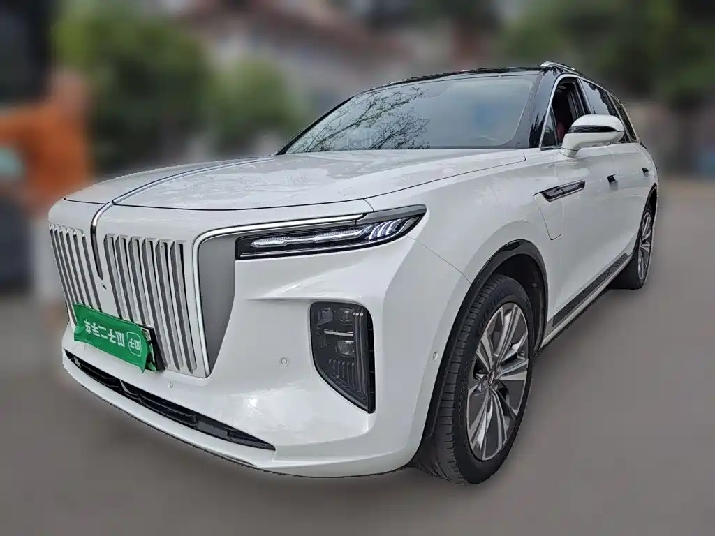 Hongqi E-HS9 2021