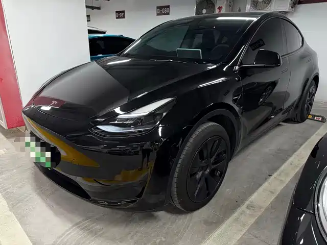 Tesla Model Y Задний привод