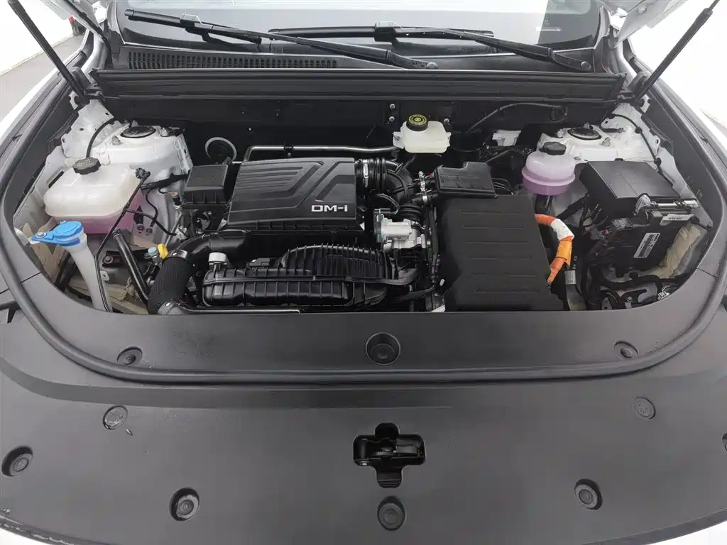 BYD SONGJIANG NEW ENERGY