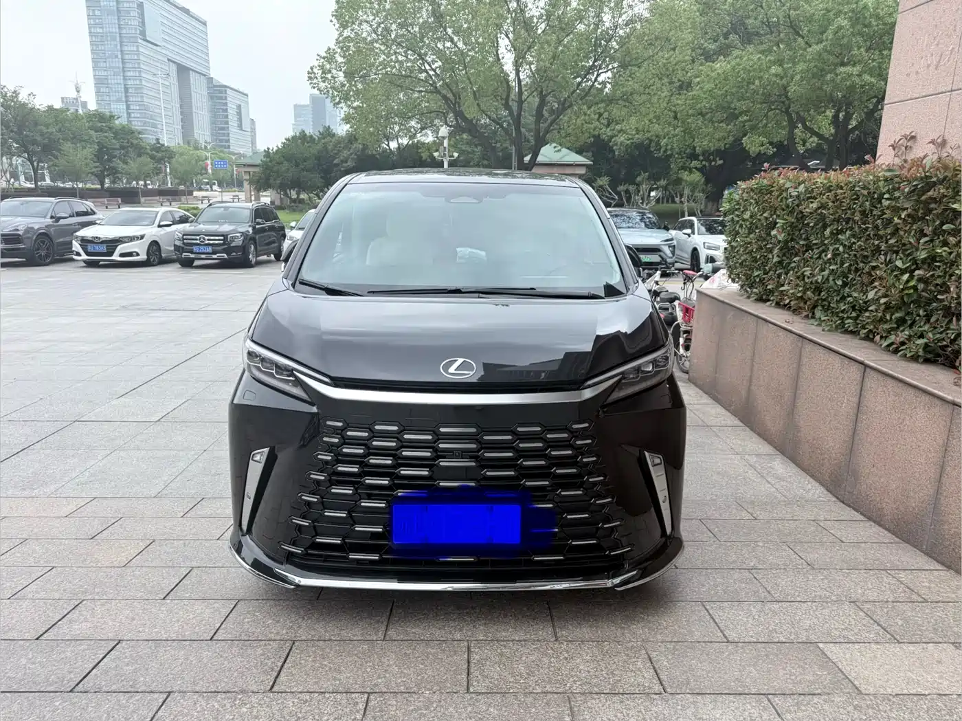 Lexus LM 2023 350h 7-Seater Elegance Edition фото 2