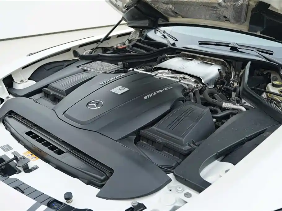 Mercedes-Benz AMG GT 2019 AMG GT R PRO фото 8