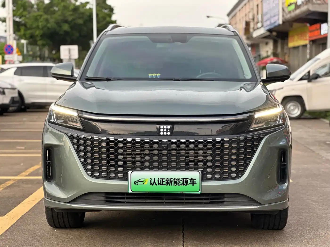 Landian E5 2024 2024 Glory Edition 100KM Ultimate Type 5-Seater