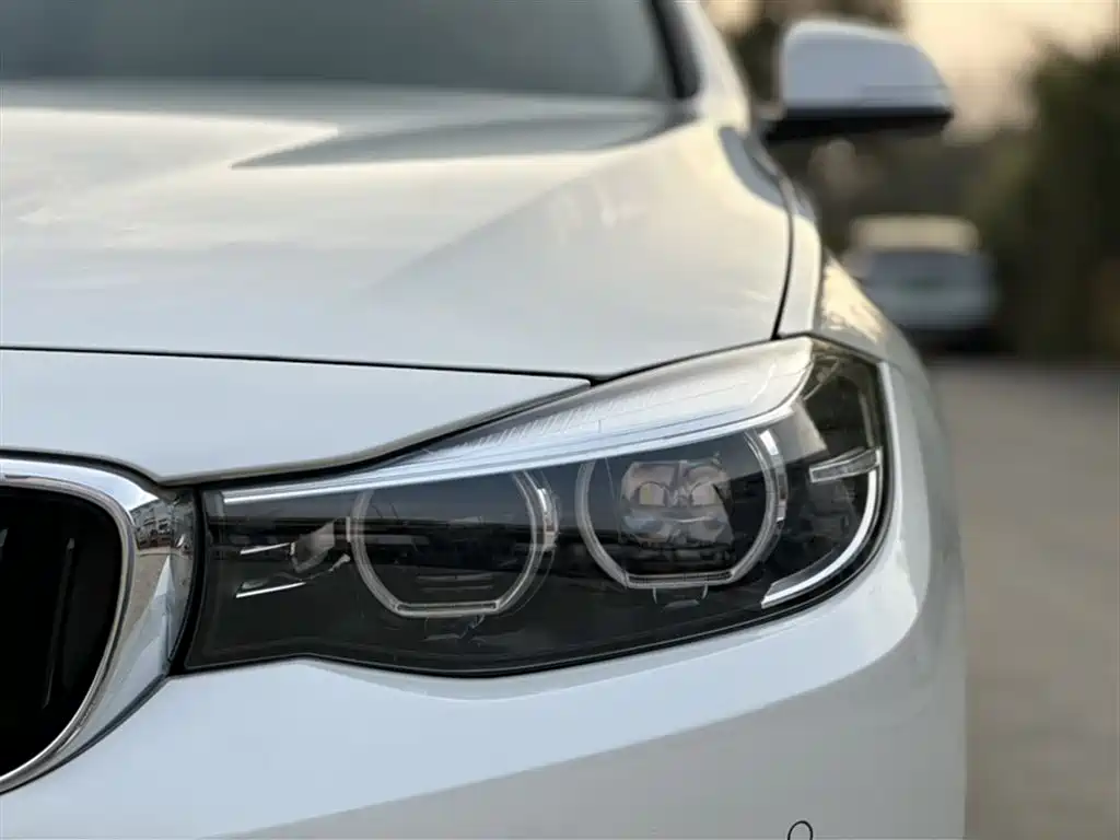 BMW 3 Series GT 2018 320i Fashion фото 23
