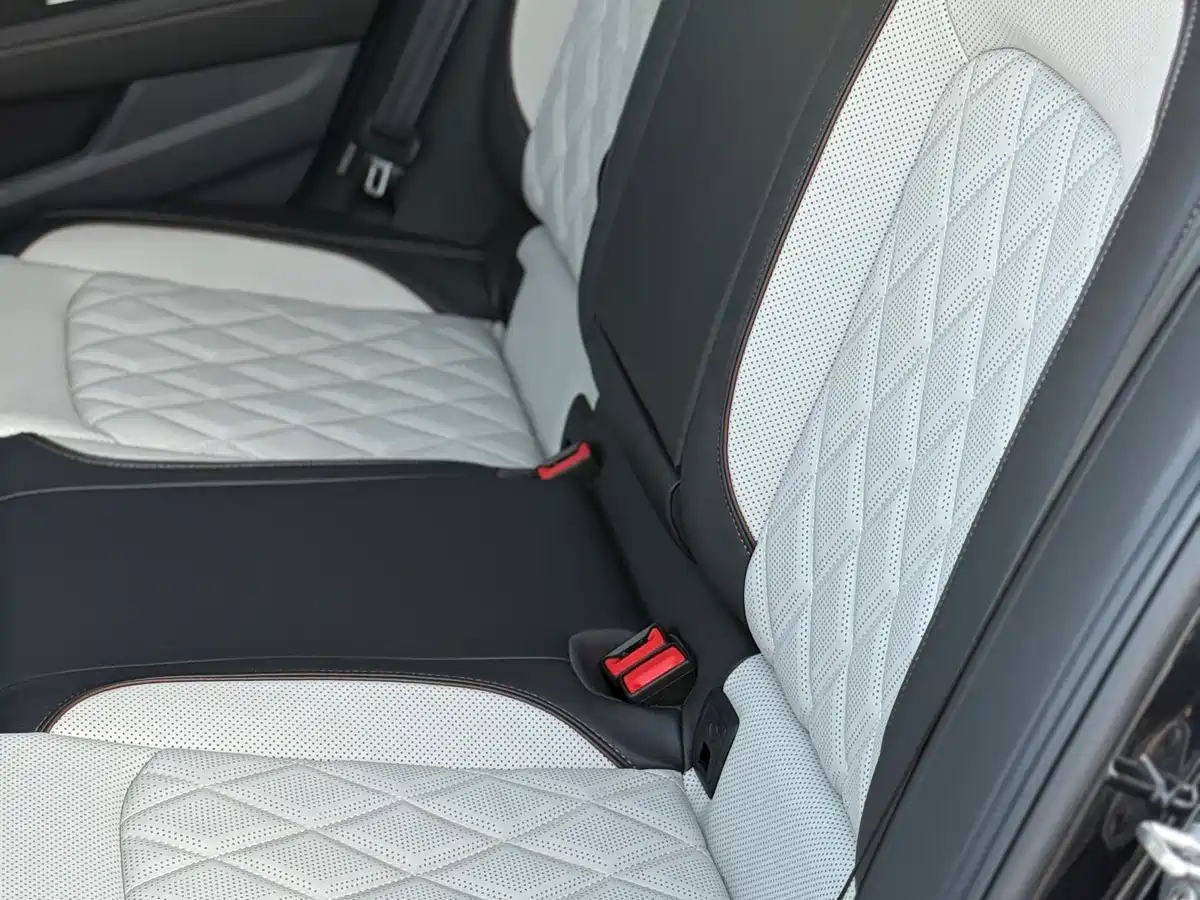 Volkswagen Magotan 2024 2 Million Units Public Sharing Edition 330TSI DSG Luxury фото 13