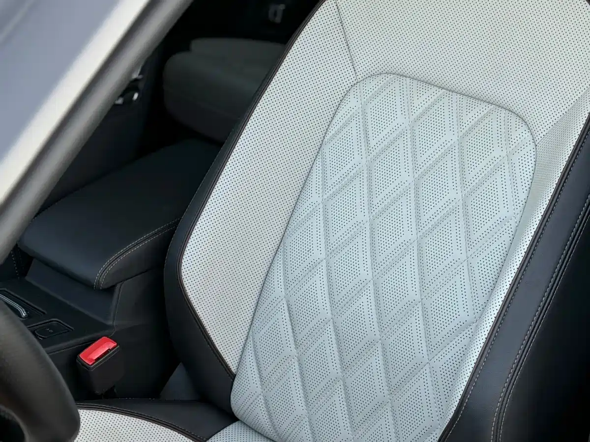 Volkswagen Magotan 2024 2 Million Units Public Sharing Edition 330TSI DSG Luxury фото 14