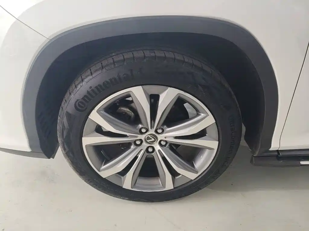 Фото 25 - Lexus RX