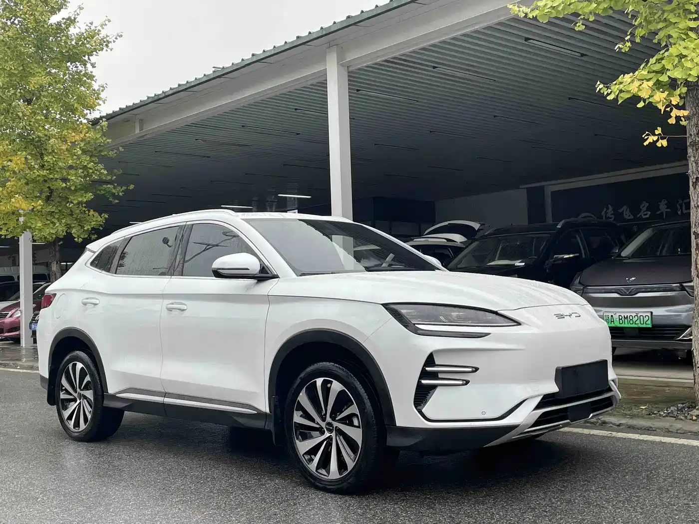 BYD Song PLUS PHEV, миниатюра 3